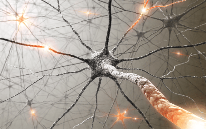 Sérotonine : faites le plein du neurotransmetteur de la joie
