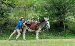 « Antoinette dans les Cévennes » au TLF le 15 octobre