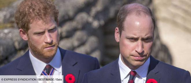 « C'est cruel ! » : Harry et William accusent le coup, la mémoire de Diana bafouée