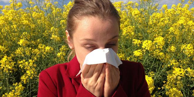 Qu’est-ce qui cause les allergies ? Comment limiter les réactions ?