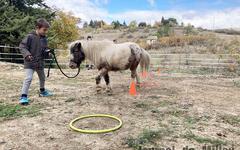 [Millau] Aux Aumières, Laurie Perségol rapproche l’enfant de l’animal