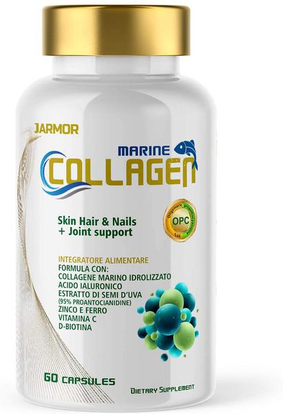 Complément Collagene Hydrolysé – J.ARMOR