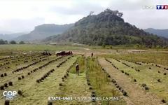États-Unis : la vie après la mine