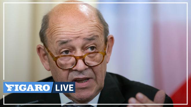 «Qu’elle y reste !»: Jean-Yves Le Drian réagit au retour de Sophie Pétronin au Mali