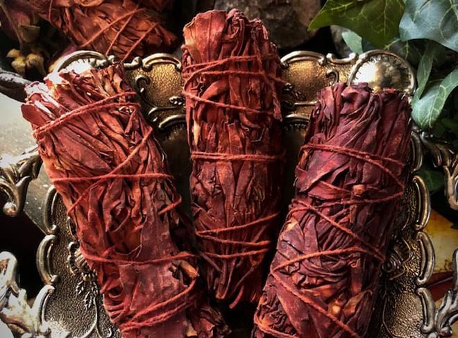 La Sauge Sang de Dragon : vertus et pouvoirs