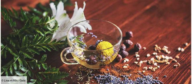 Détox après fêtes : misez sur les plantes en infusion ou complément alimentaire