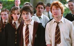 Harry Potter, Retour à Poudlard : Cette rumeur persistante confirmée par Rupert Grint