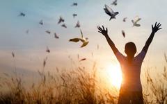 The Good Habits : l’application qui prend soin de la Planète, mais surtout de vous !
