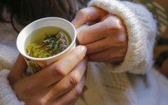 Alchémille et gattilier : deux plantes qui régulent le cycle menstruel