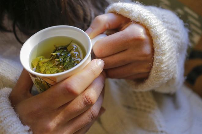 Alchémille et gattilier : deux plantes qui régulent le cycle menstruel