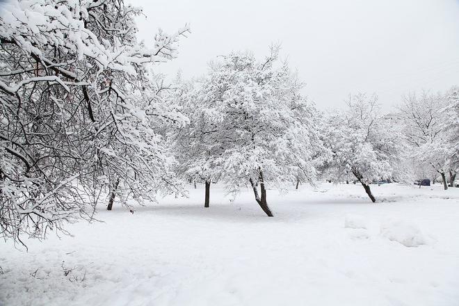 La dernière ligne droite du 11 février 2022
