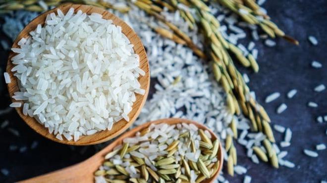 Crème de riz et musculation : un combo gagnant