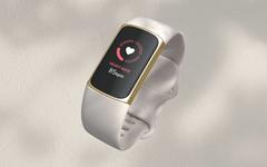 Future Fitbit Devices Might Not Necessarily Run Wear OS