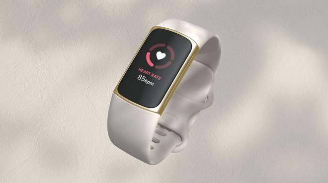 Future Fitbit Devices Might Not Necessarily Run Wear OS