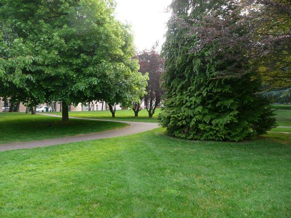Voici comment les espaces verts impactent notre santé mentale
