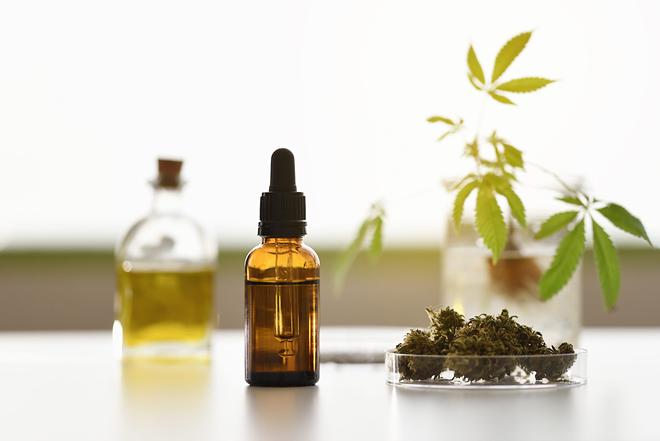 La meilleure huile de CBD au Canada en 2022 – Comparatif, guide et avis