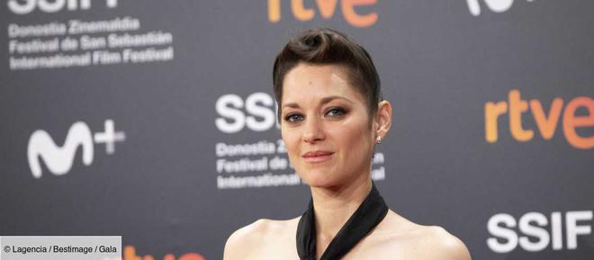 Marion Cotillard liée à Céline Dion : cette formation qu’elles ont suivie toutes les deux