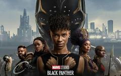 Black Panther, Wakanda Forever: qui pour remplacer Chadwick Boseman?