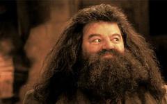 Robbie Coltrane, qui incarne Hagrid dans Harry Potter, est mort