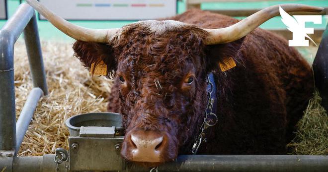 Le Salon de l'agriculture ferme ses portes en raison d'un afflux de visiteurs trop important