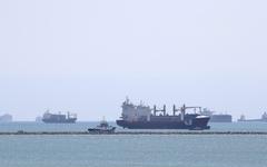 Blocage du canal de Suez : des associations craignent "une tragédie maritime sans précédent impliquant des animaux vivants"