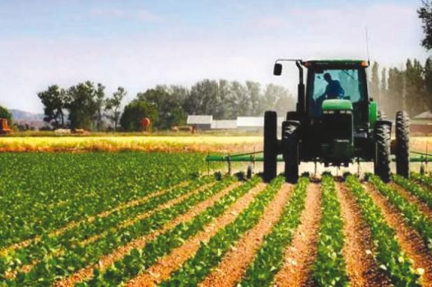 Tunisie : Le syndicat des agriculteurs fustige la hausse des prix de l’essence, et pointe « des pressions du FMI »