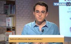 Quelle différence entre les végans et les antispécistes? Notre journaliste Paul Sugy répond