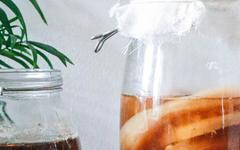 Les bienfaits du Kombucha, la nouvelle boisson healthy
