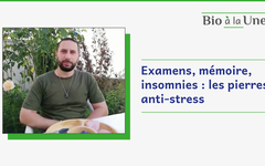 Lithothérapie : les pierres, de précieuses aides pour contrer le stress ?